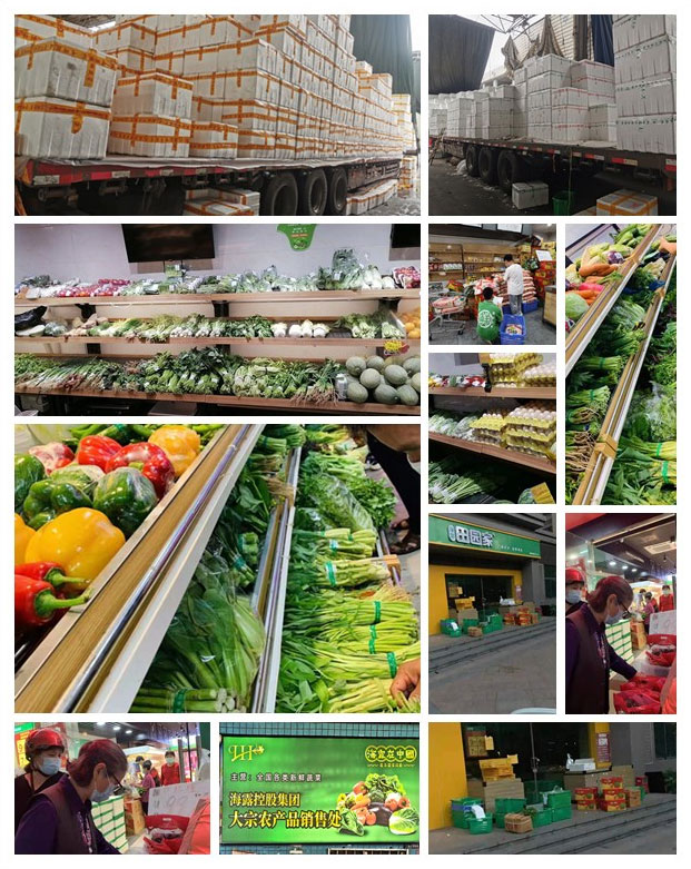 XPJ(中国大陆)有限公司官网