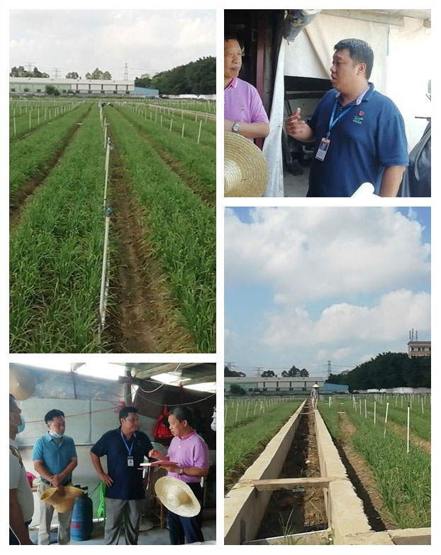 XPJ(中国大陆)有限公司官网