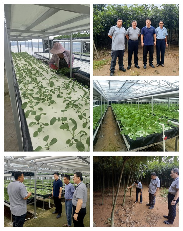 XPJ(中国大陆)有限公司官网