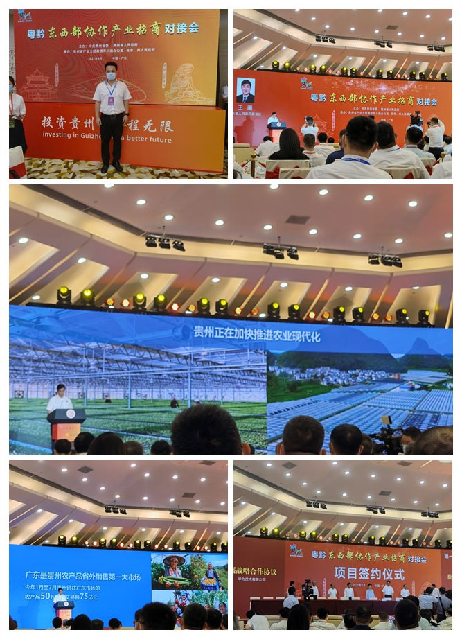 XPJ(中国大陆)有限公司官网