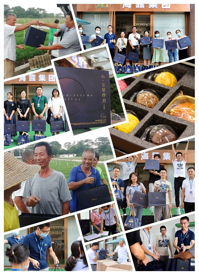 XPJ(中国大陆)有限公司官网