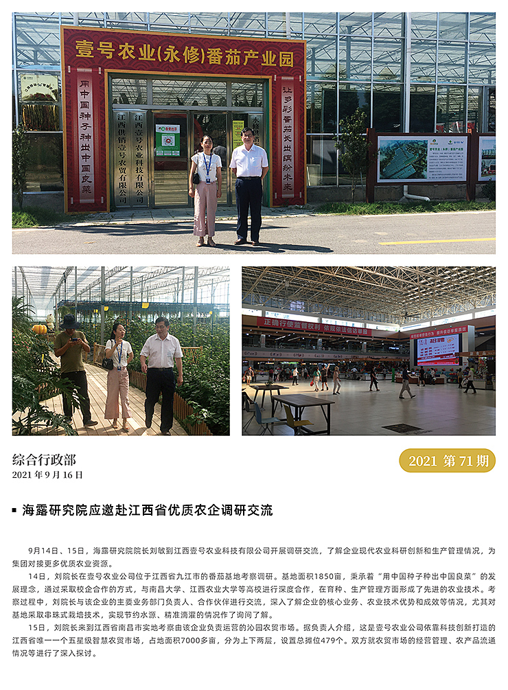 XPJ(中国大陆)有限公司官网