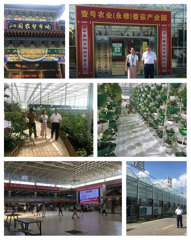 XPJ(中国大陆)有限公司官网