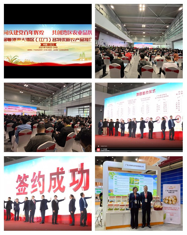 XPJ(中国大陆)有限公司官网