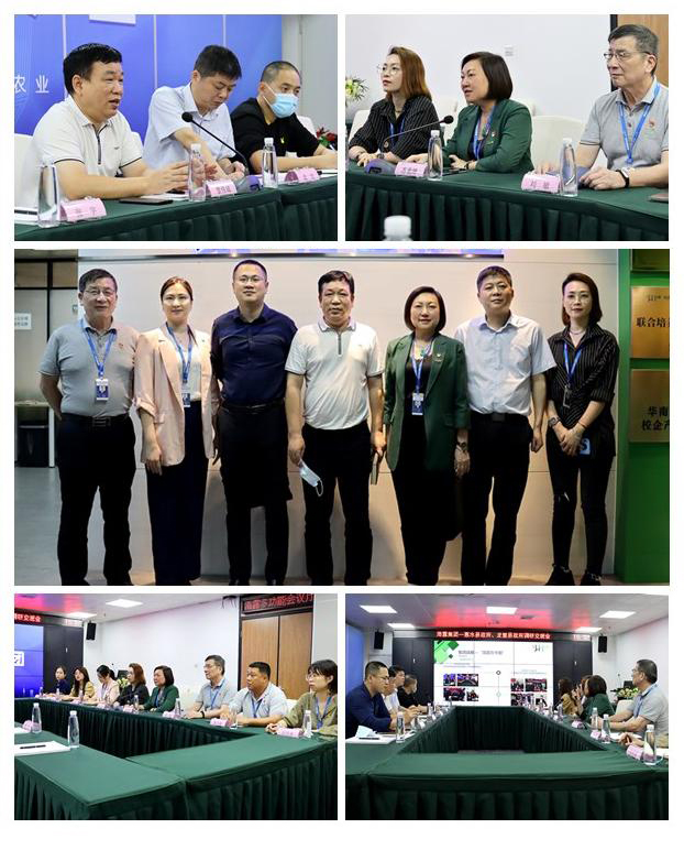 XPJ(中国大陆)有限公司官网