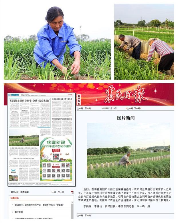 XPJ(中国大陆)有限公司官网