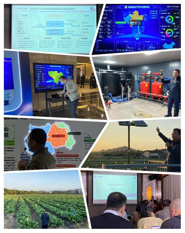 XPJ(中国大陆)有限公司官网