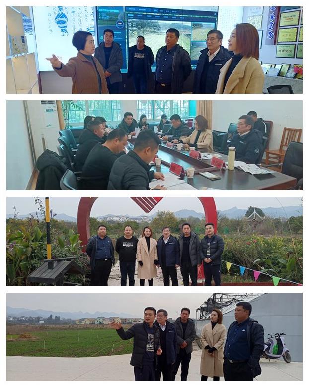 XPJ(中国大陆)有限公司官网