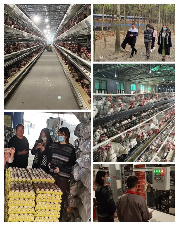 XPJ(中国大陆)有限公司官网