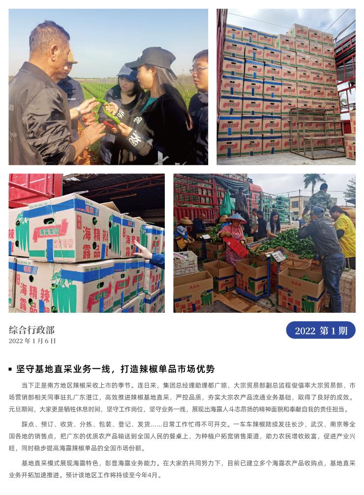 XPJ(中国大陆)有限公司官网