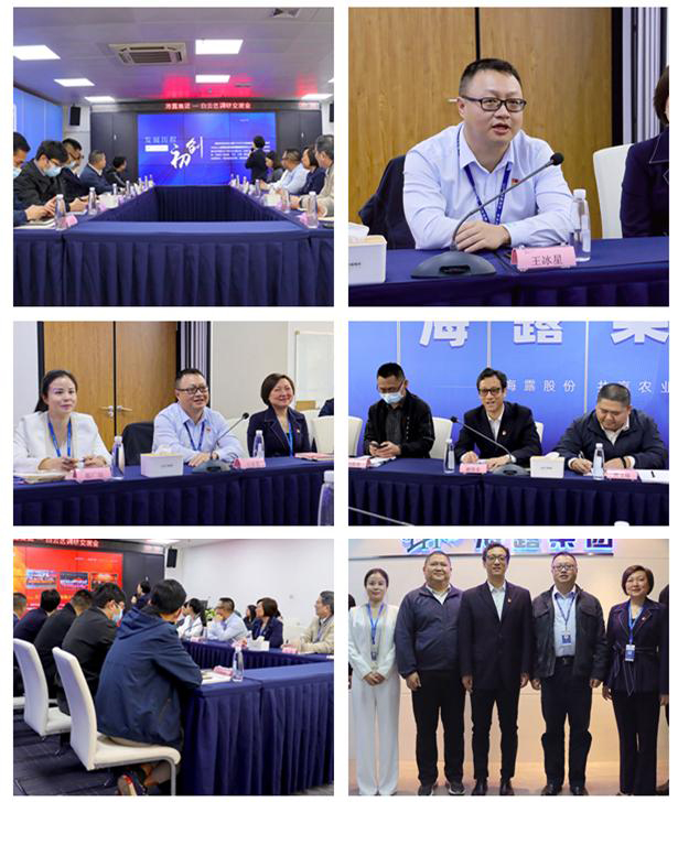 XPJ(中国大陆)有限公司官网