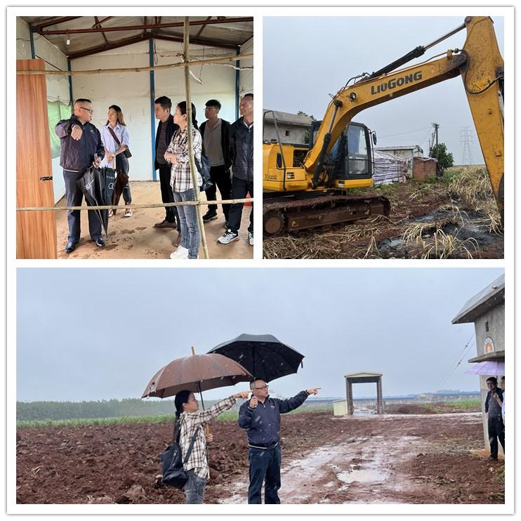 XPJ(中国大陆)有限公司官网