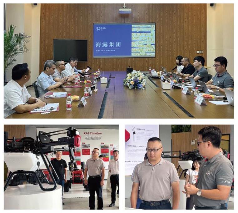 XPJ(中国大陆)有限公司官网