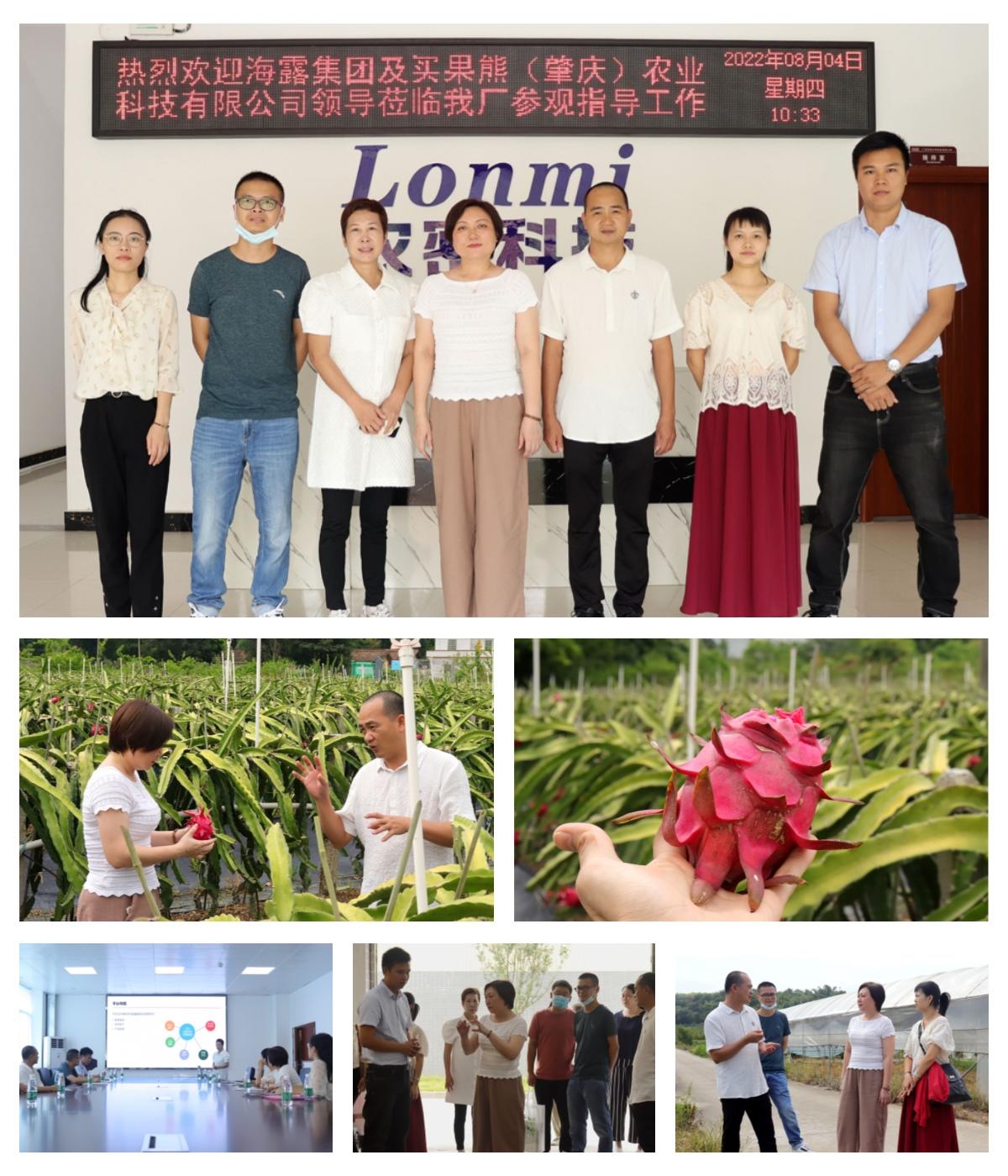 XPJ(中国大陆)有限公司官网