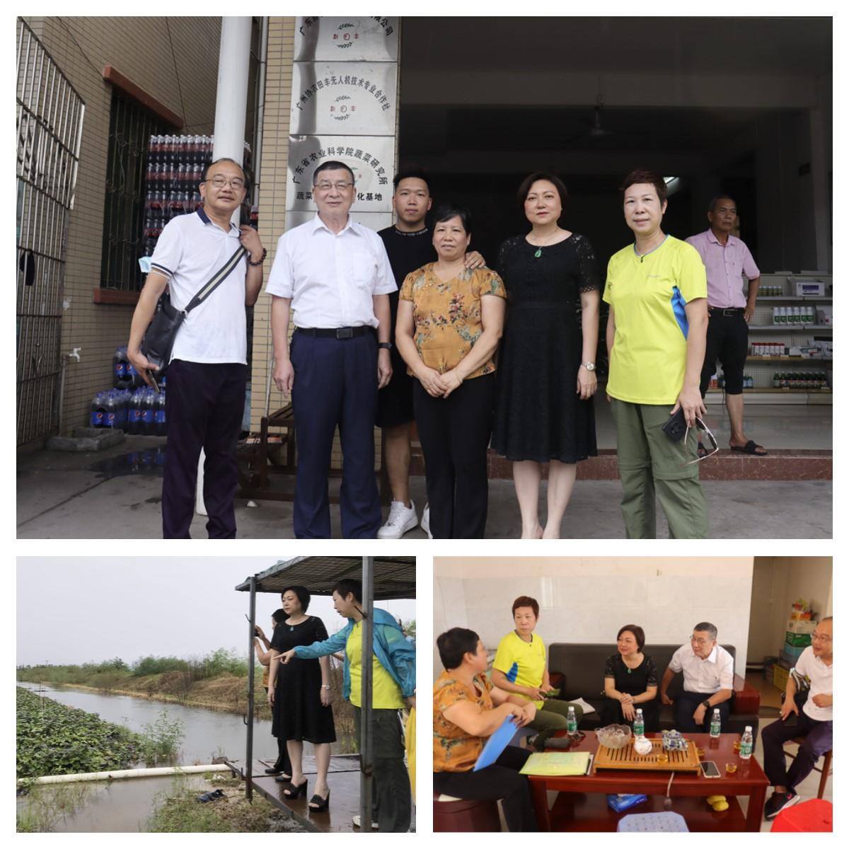 XPJ(中国大陆)有限公司官网