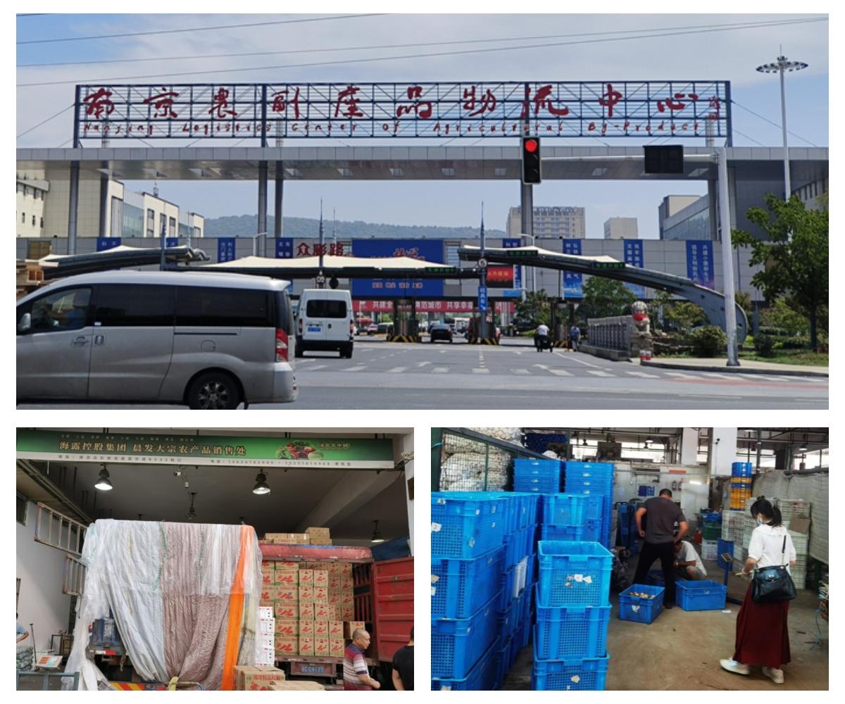 XPJ(中国大陆)有限公司官网