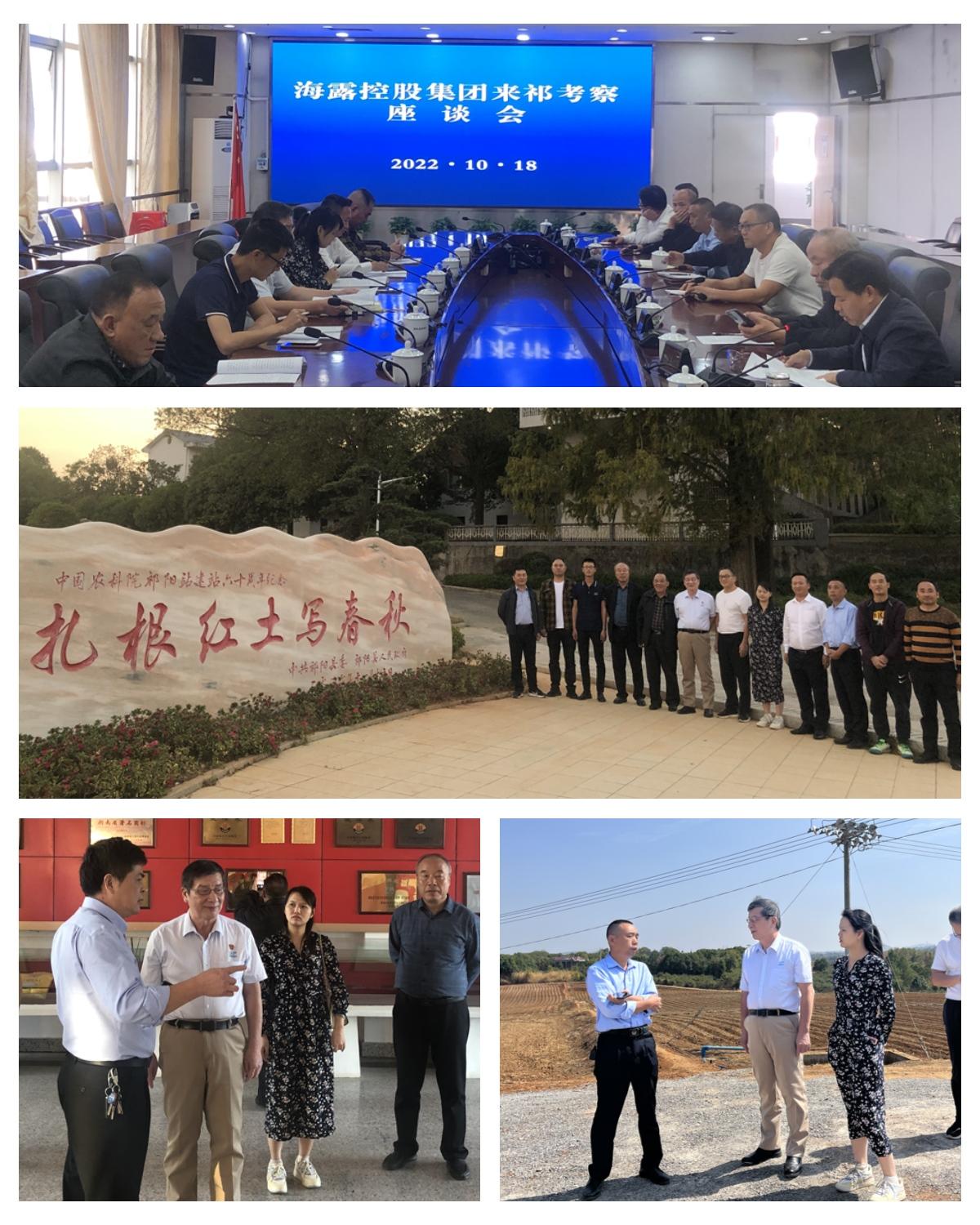 XPJ(中国大陆)有限公司官网