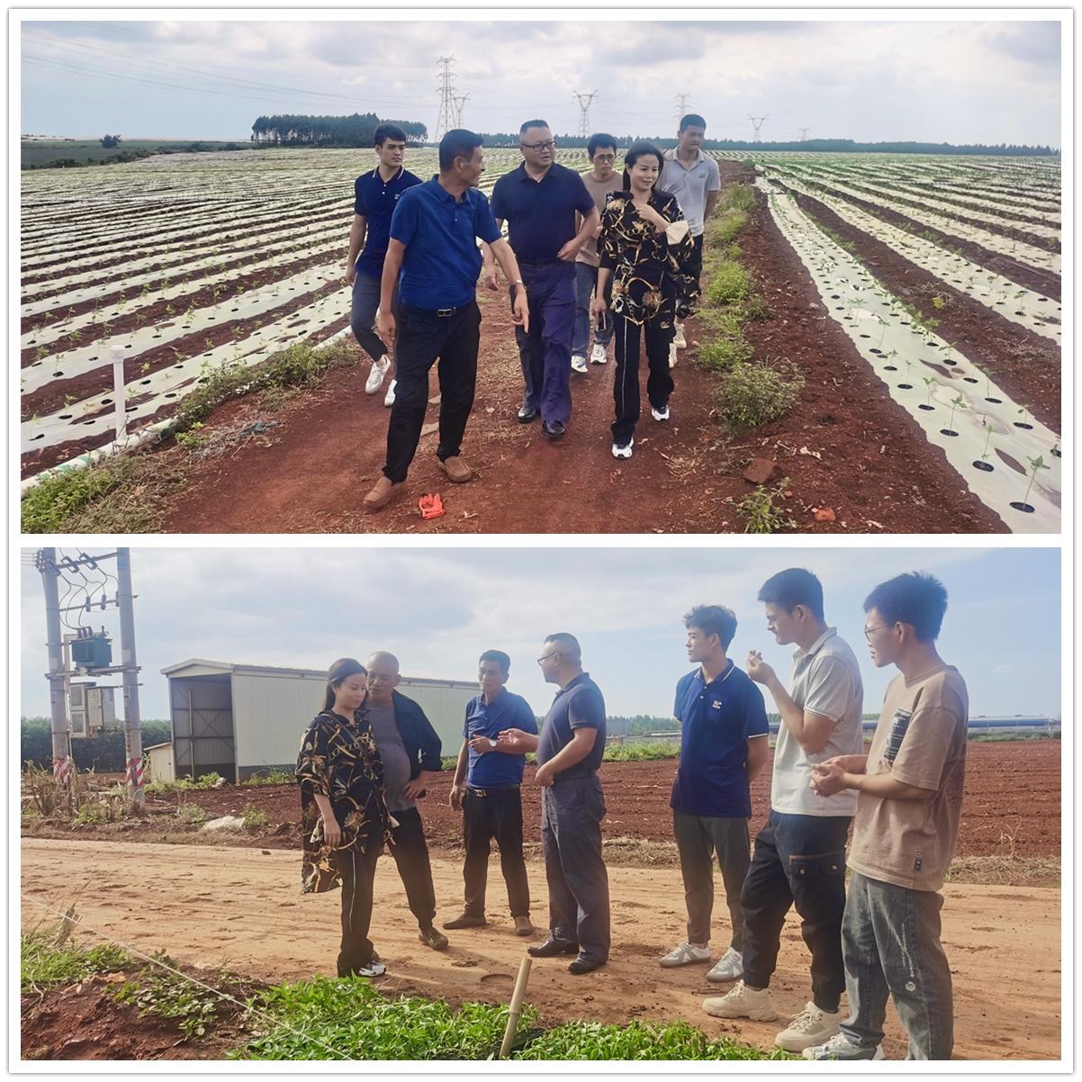 XPJ(中国大陆)有限公司官网