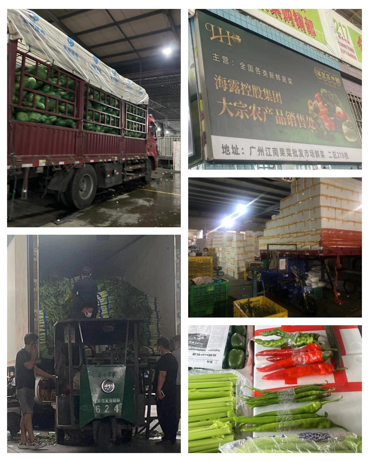 XPJ(中国大陆)有限公司官网