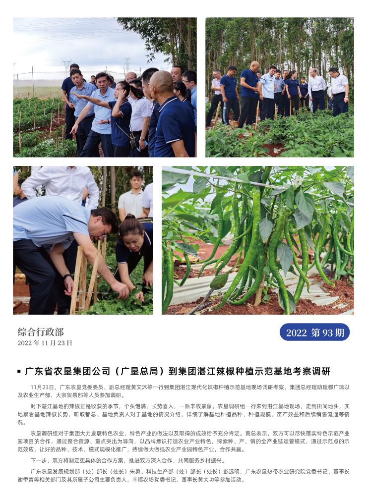 XPJ(中国大陆)有限公司官网