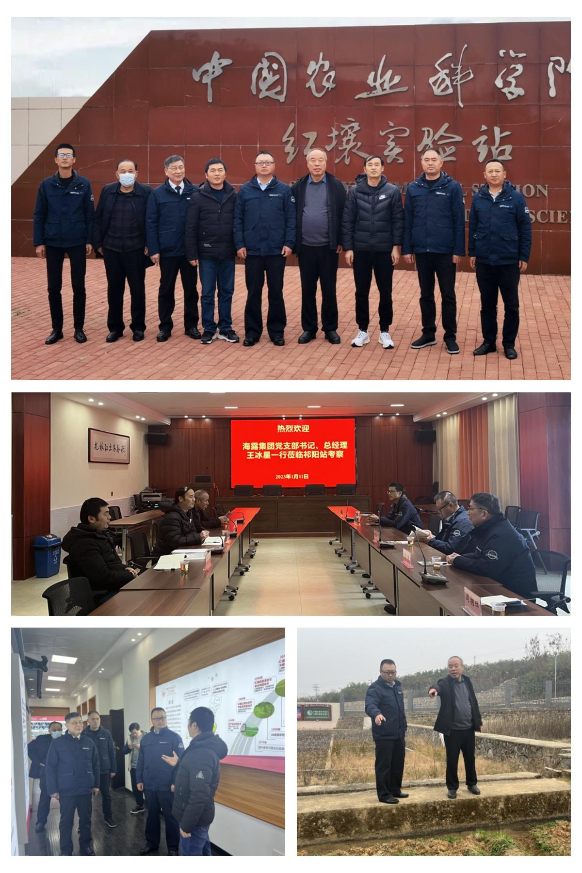 XPJ(中国大陆)有限公司官网