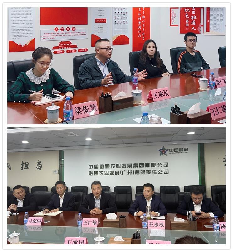 XPJ(中国大陆)有限公司官网