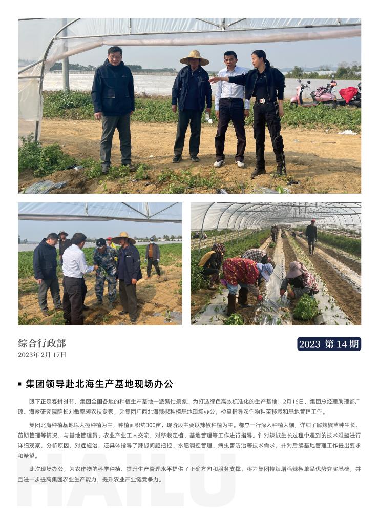 XPJ(中国大陆)有限公司官网