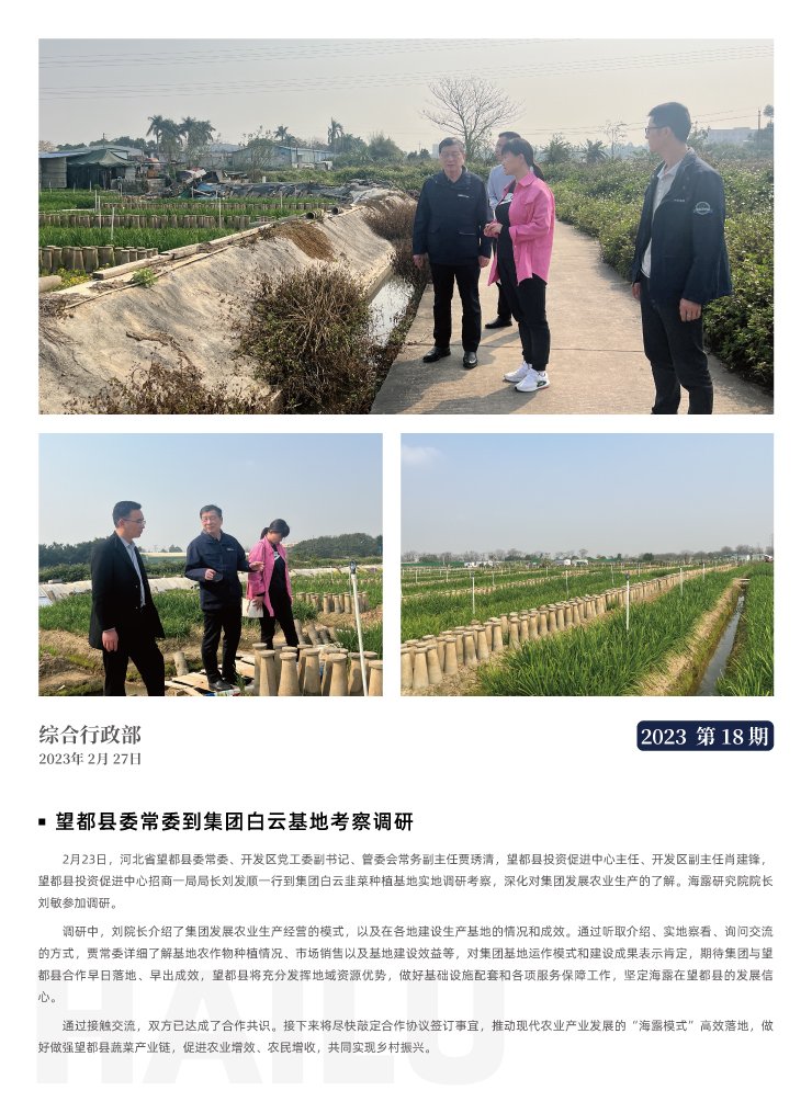 XPJ(中国大陆)有限公司官网