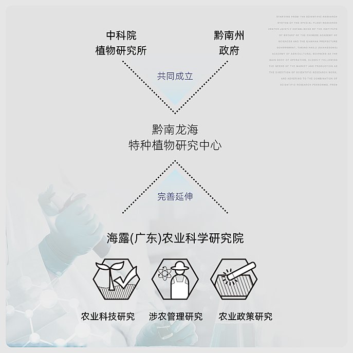 XPJ(中国大陆)有限公司官网