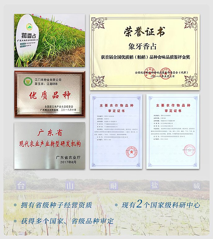 XPJ(中国大陆)有限公司官网