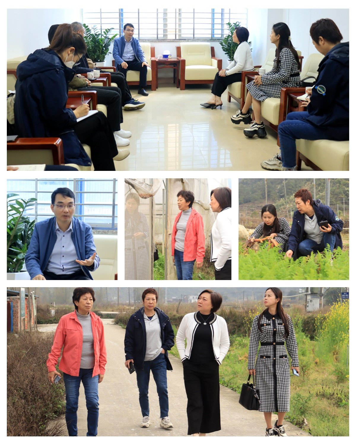 XPJ(中国大陆)有限公司官网