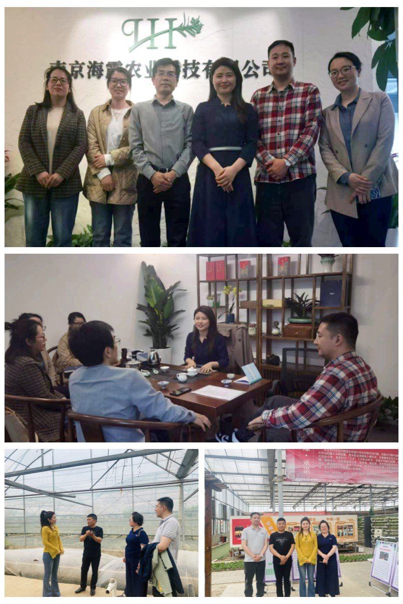 XPJ(中国大陆)有限公司官网