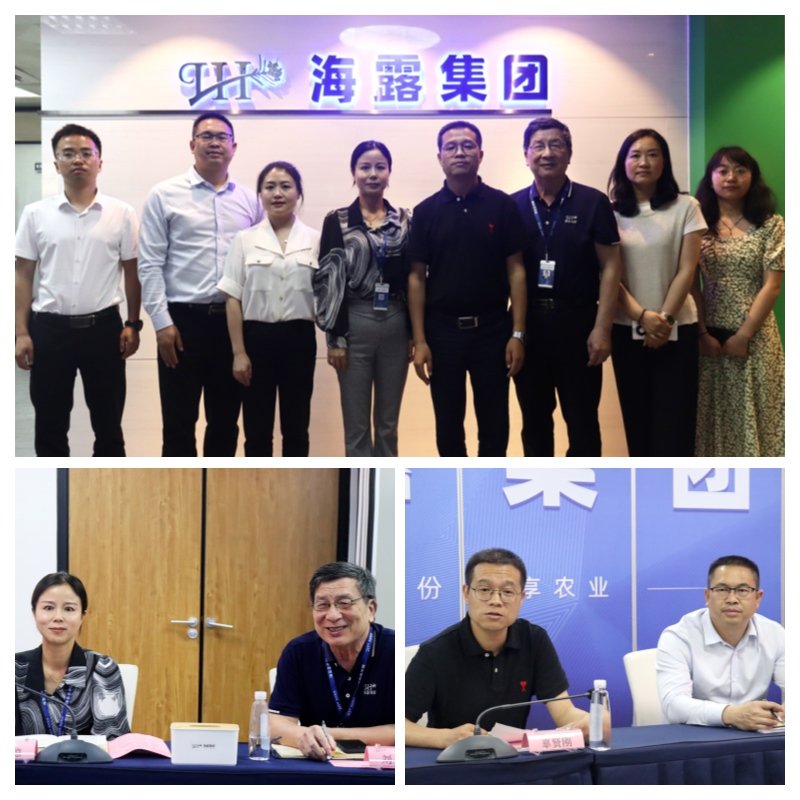 XPJ(中国大陆)有限公司官网