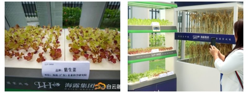 XPJ(中国大陆)有限公司官网