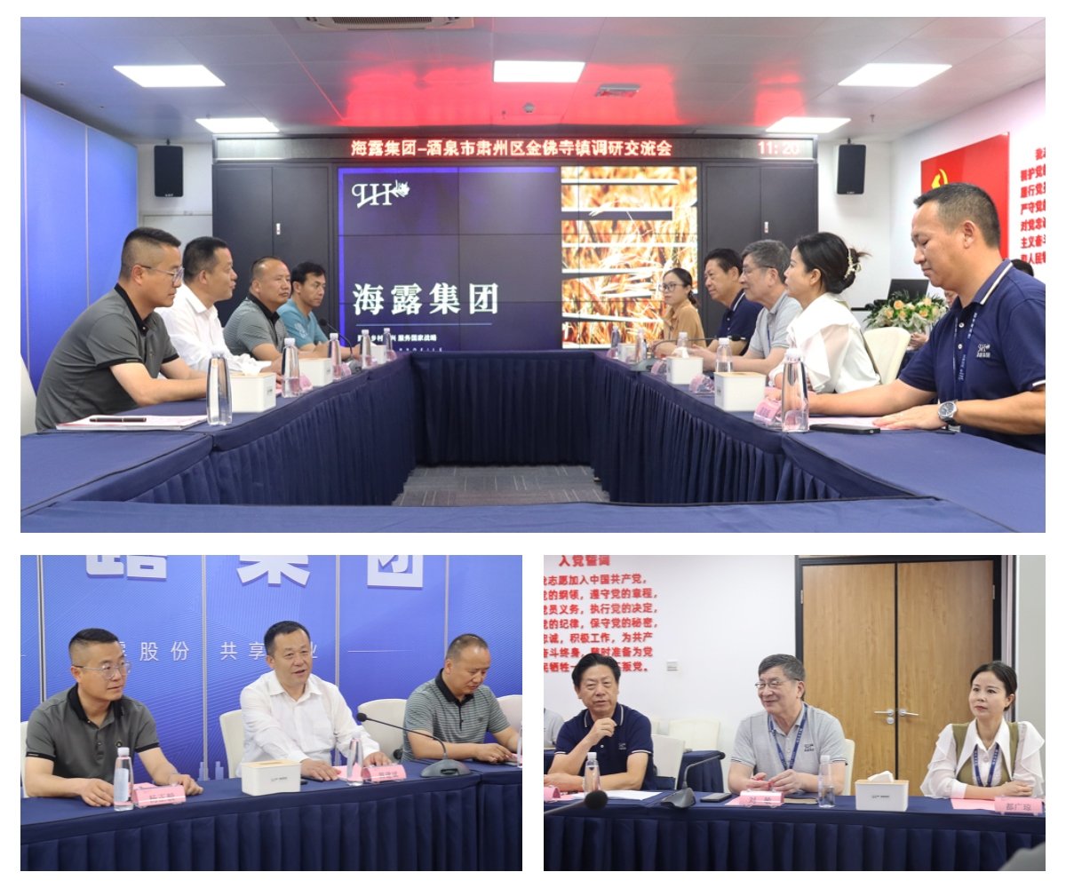 XPJ(中国大陆)有限公司官网