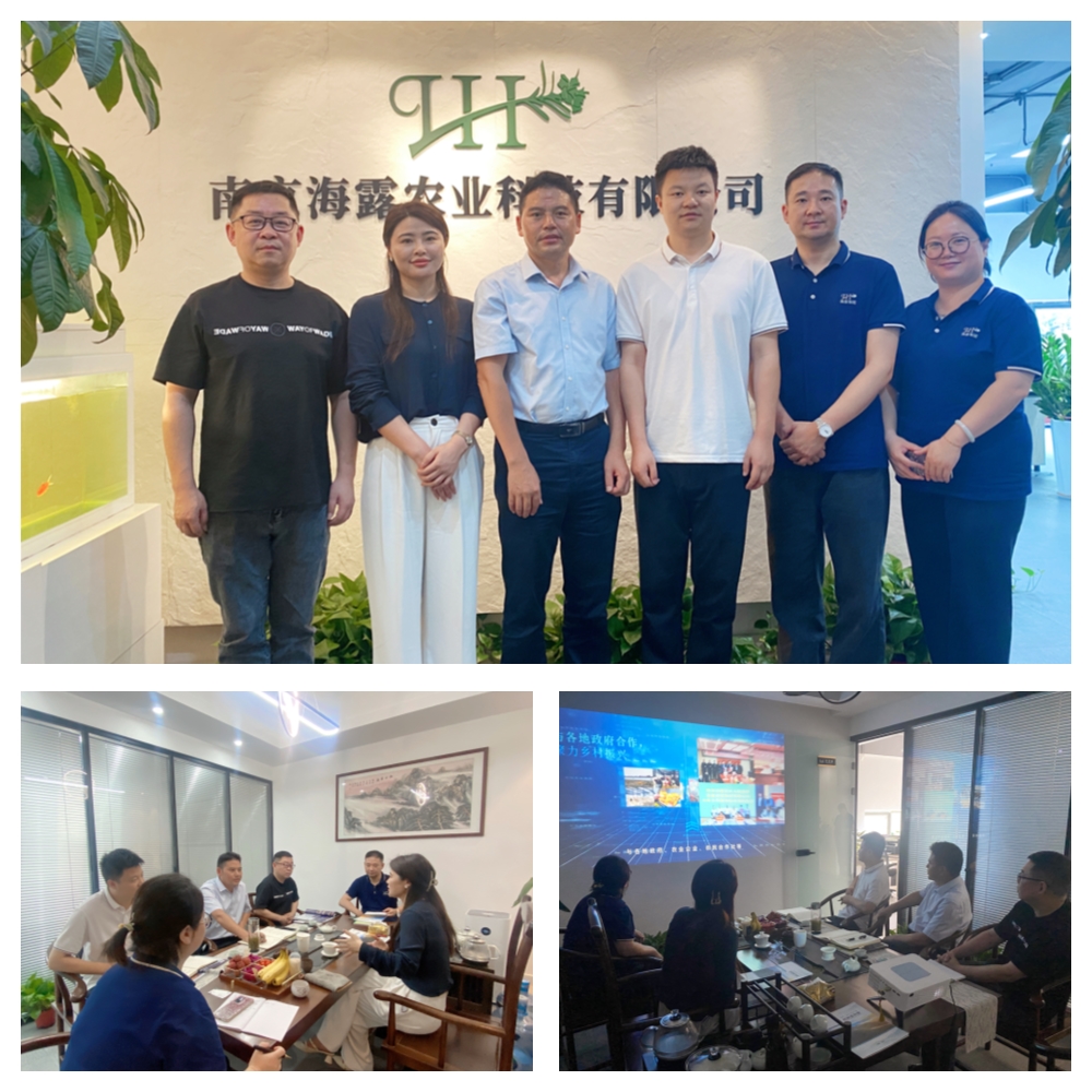 XPJ(中国大陆)有限公司官网