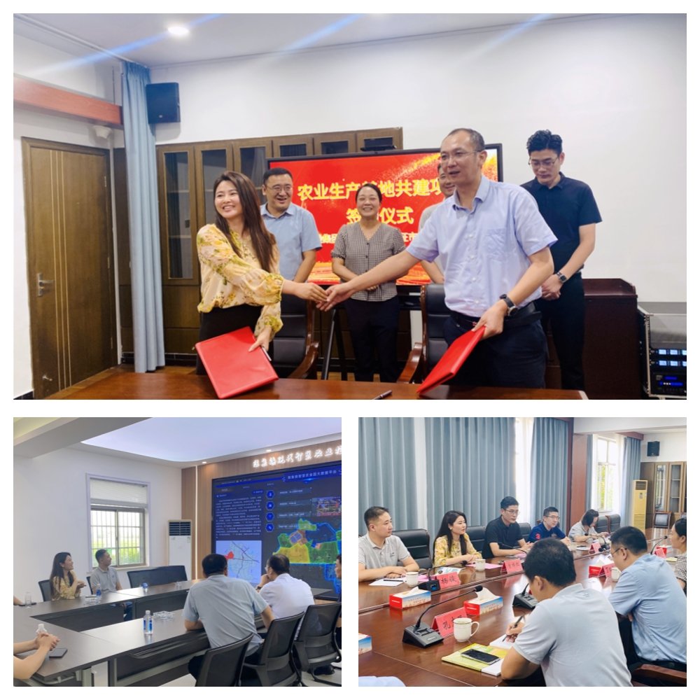 XPJ(中国大陆)有限公司官网