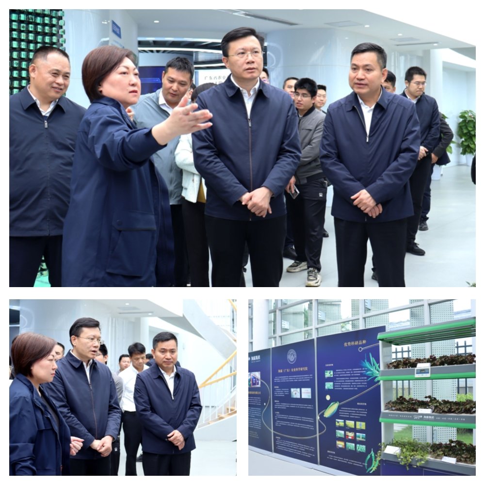 XPJ(中国大陆)有限公司官网