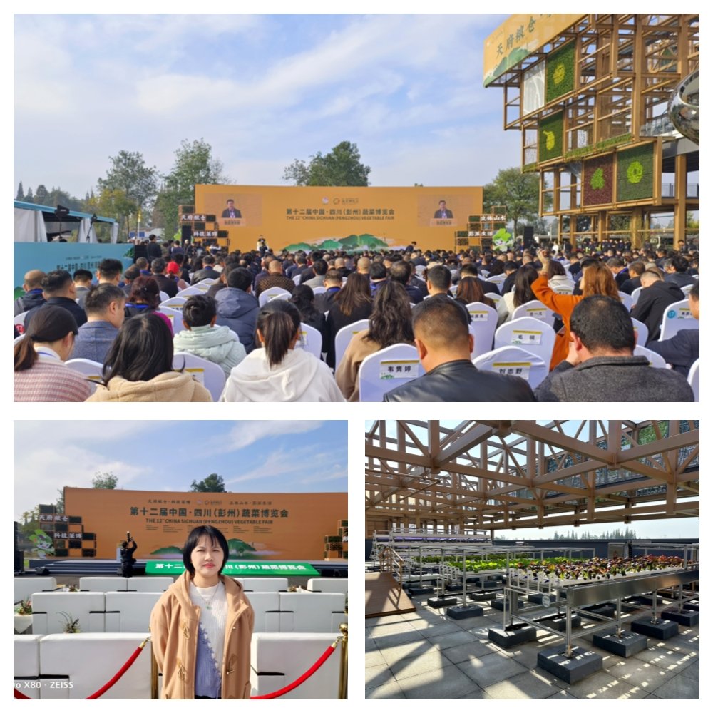 XPJ(中国大陆)有限公司官网