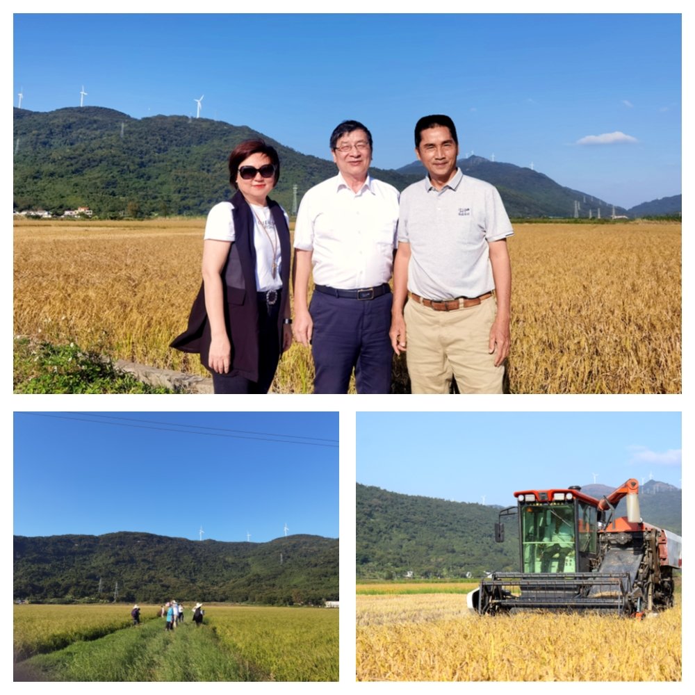 XPJ(中国大陆)有限公司官网