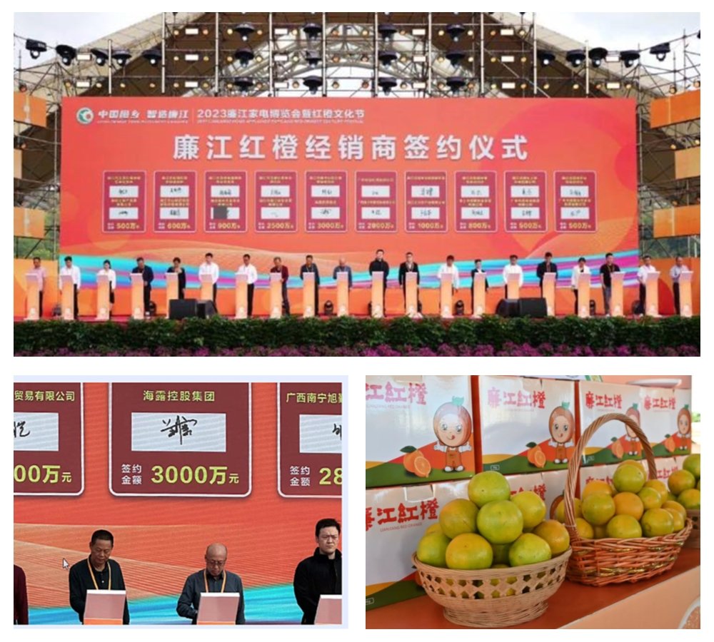 XPJ(中国大陆)有限公司官网