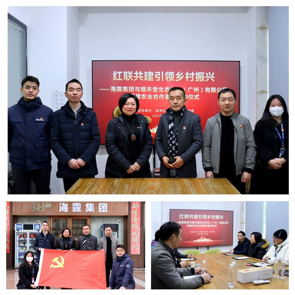 XPJ(中国大陆)有限公司官网