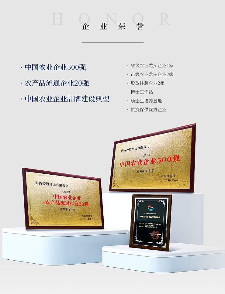 XPJ(中国大陆)有限公司官网