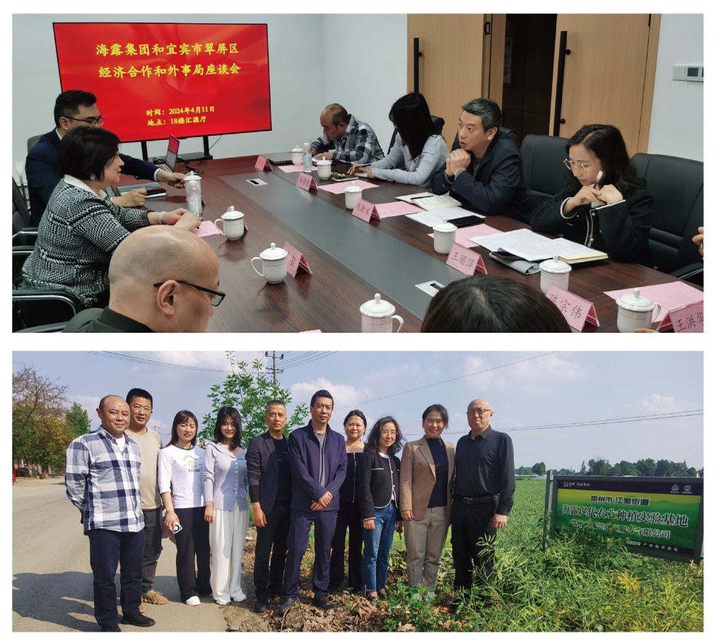 XPJ(中国大陆)有限公司官网