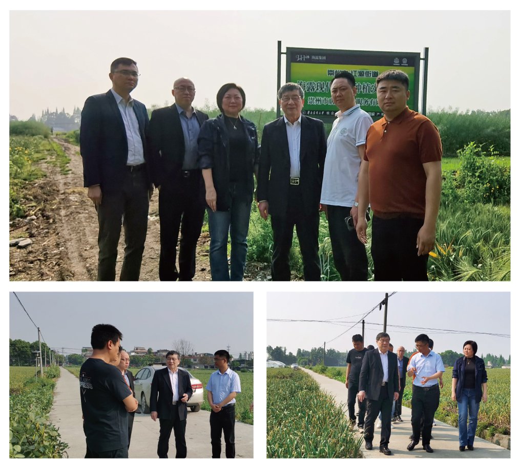 XPJ(中国大陆)有限公司官网