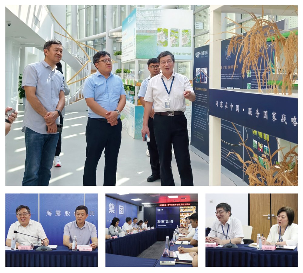 XPJ(中国大陆)有限公司官网