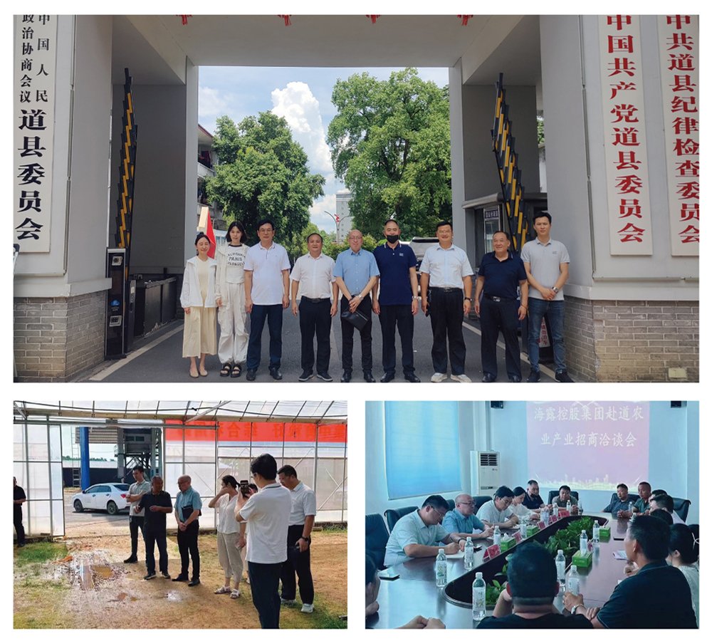 XPJ(中国大陆)有限公司官网