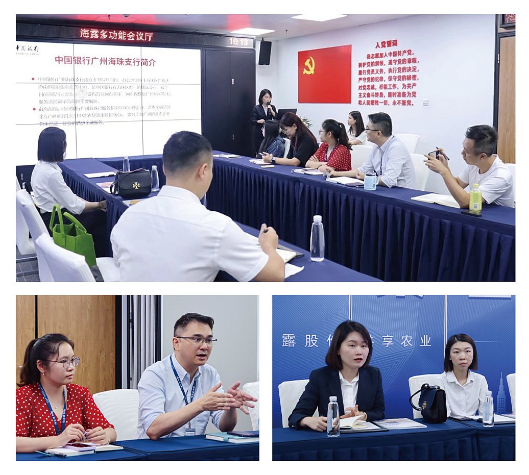 XPJ(中国大陆)有限公司官网