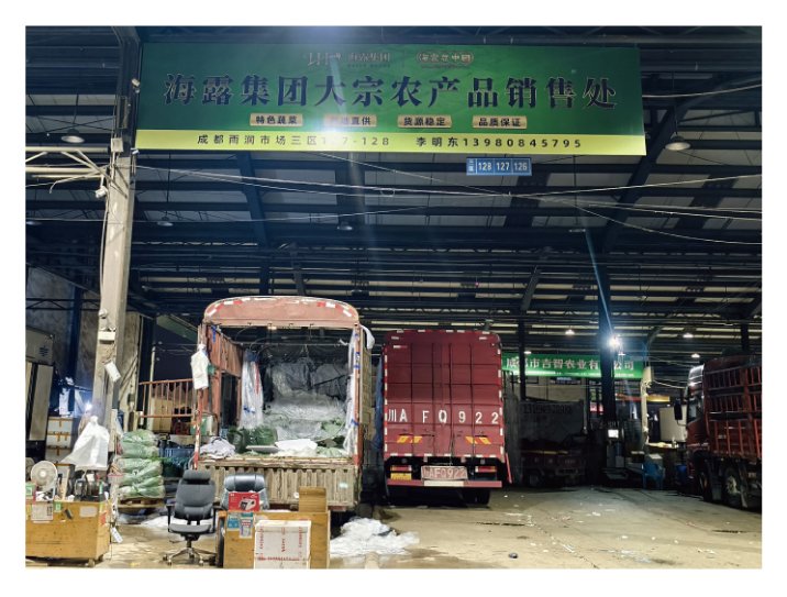 XPJ(中国大陆)有限公司官网