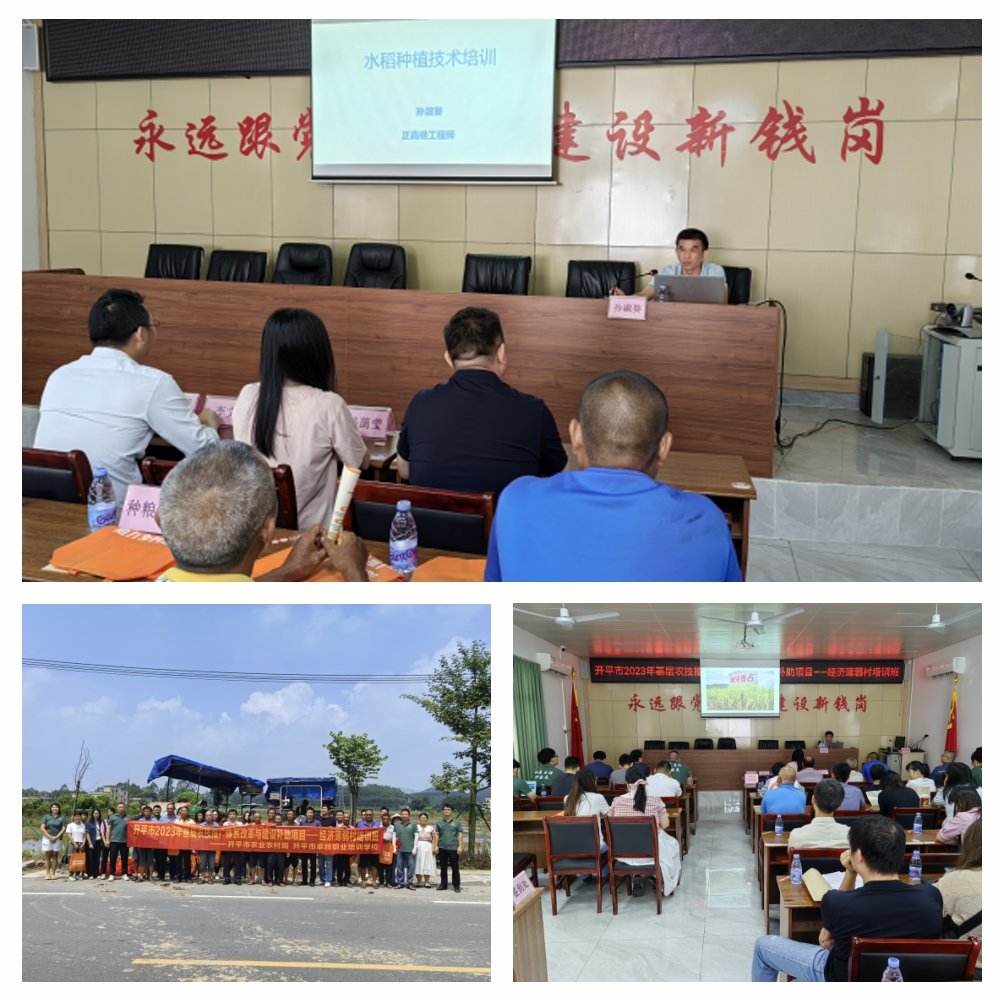 XPJ(中国大陆)有限公司官网